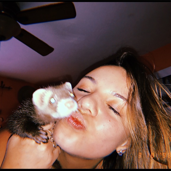 Meet your Posher, Ava - Picture 4 of 5